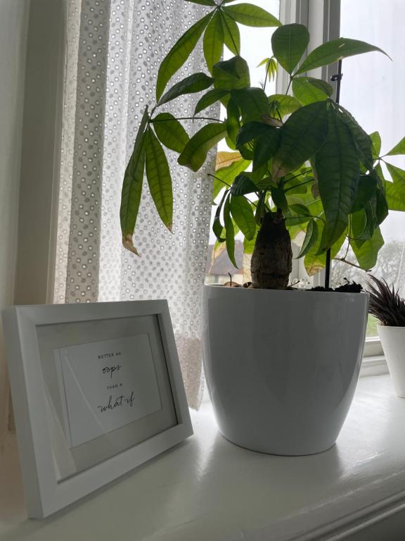 Fotografie z fotogalerie ubytování Tullesbo Sätesgård v destinaci Sjöbo