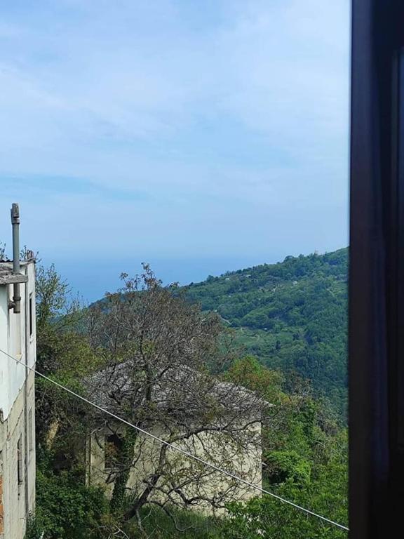 Příroda nedaleko hotelu