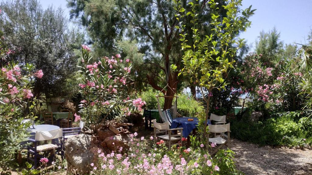 Zahrada ubytování Georgoshouse Lykos beach Sfakia