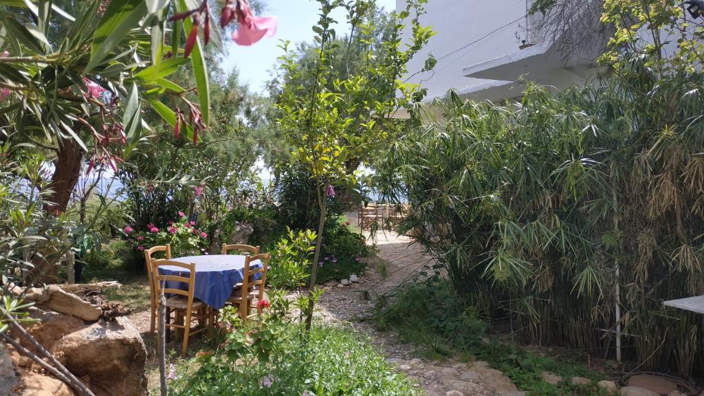 Zahrada ubytování Georgoshouse Lykos beach Sfakia