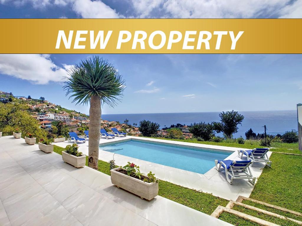 a new property with a pool and a palm tree at Avocado Villa by LovelyStay in Funchal