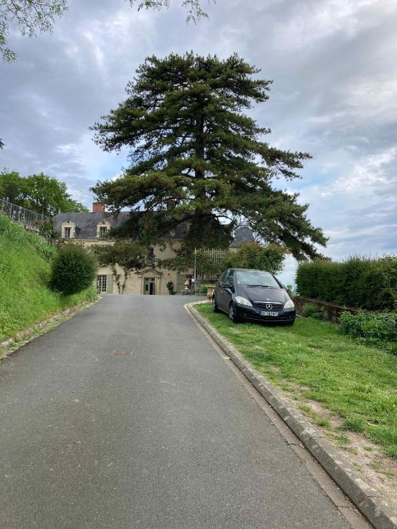 Fotografia z galérie ubytovania Chateau de la Boussiniere v destinácii Gennes