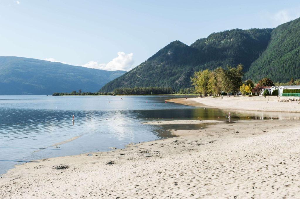 einen Strand mit Bäumen und Bergen im Hintergrund in der Unterkunft Super 8 by Wyndham Sicamous in Sicamous