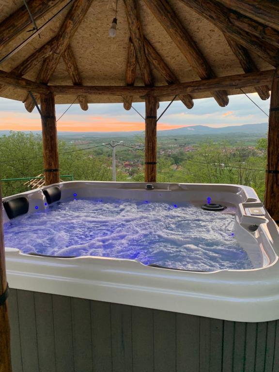 a jacuzzi tub in a room with a view at Boja Zalaska 2 in Jagodina