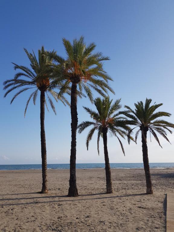 three palm trees on a sandy beach near the ocean at Ático Pola in Santa Pola