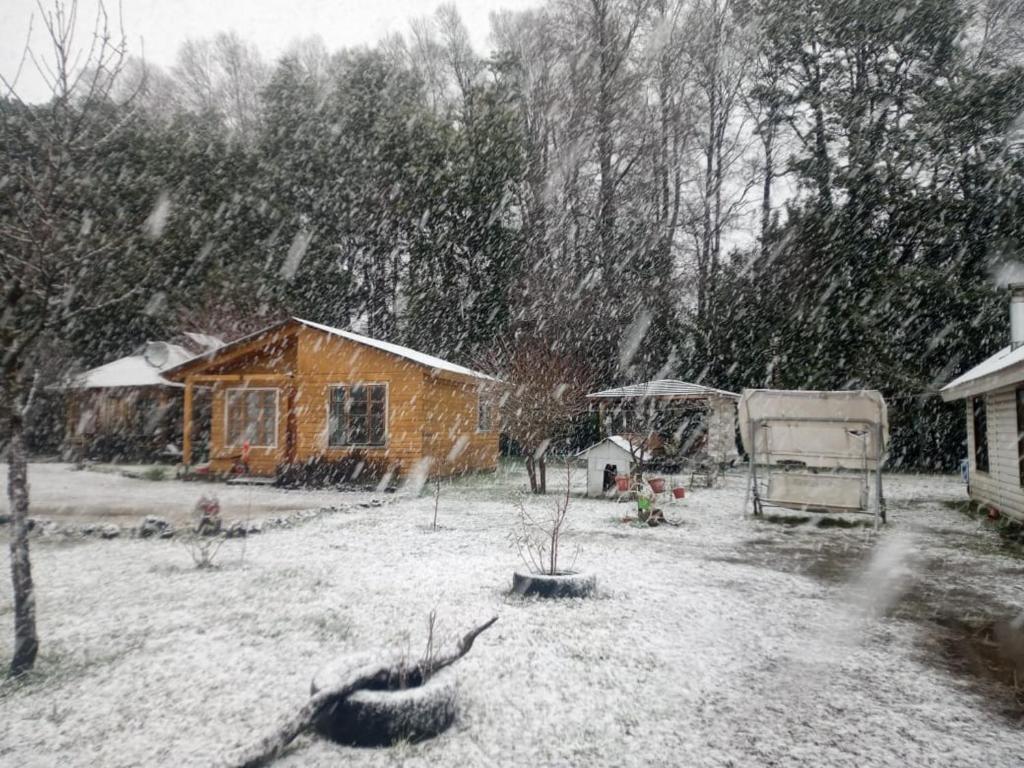 a yard covered in snow with a house at Cabañas el Estero in Melipeuco