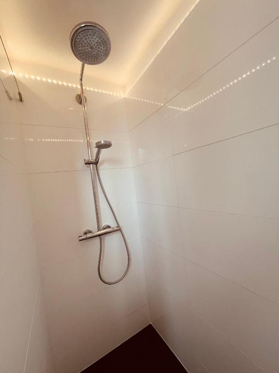 a shower with a shower head in a bathroom at **La Bretonnerie, bel appartement de standing in Concarneau
