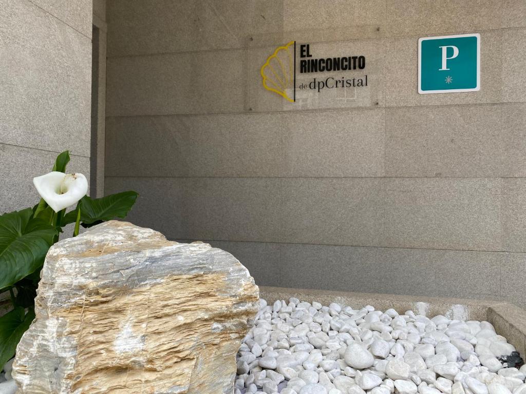 a rock and a white rose in a bath tub at El Rinconcito de dpCristal in Sarria