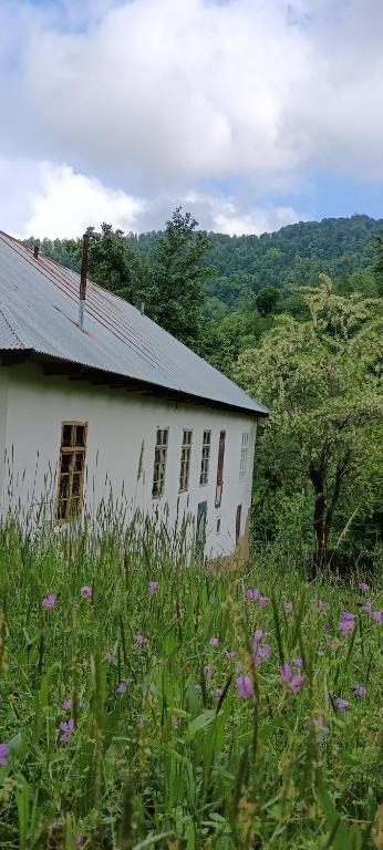 une vieille maison blanche dans un champ de fleurs dans l'établissement Ruzigar Guesthouse, à Sım