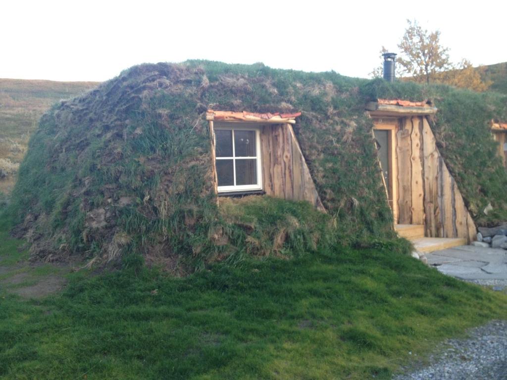 una casa con una colina con césped y ventana en Modern turf house en Kokelv