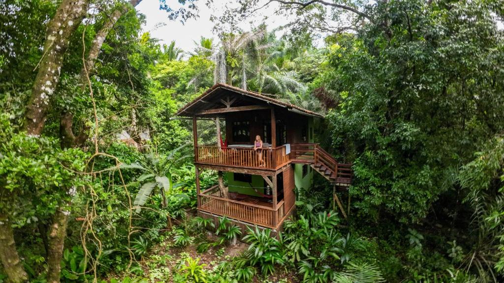 a tree house in the middle of the forest at Pousada Anjali in Ilha de Boipeba