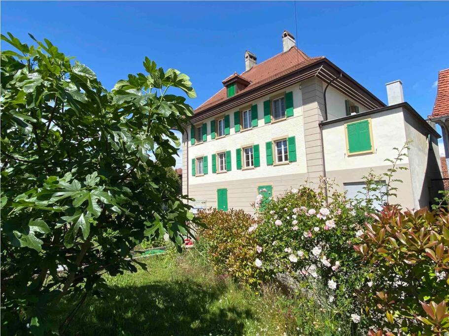 的住宿－Etage privé dans Maison de Maître，白色的大房子,设有绿色的窗户和灌木丛