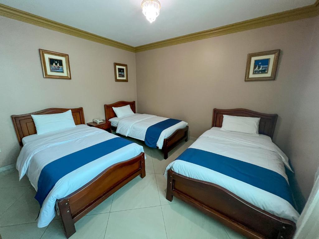 Postel nebo postele na pokoji v ubytování Apart Hotel Hamilton