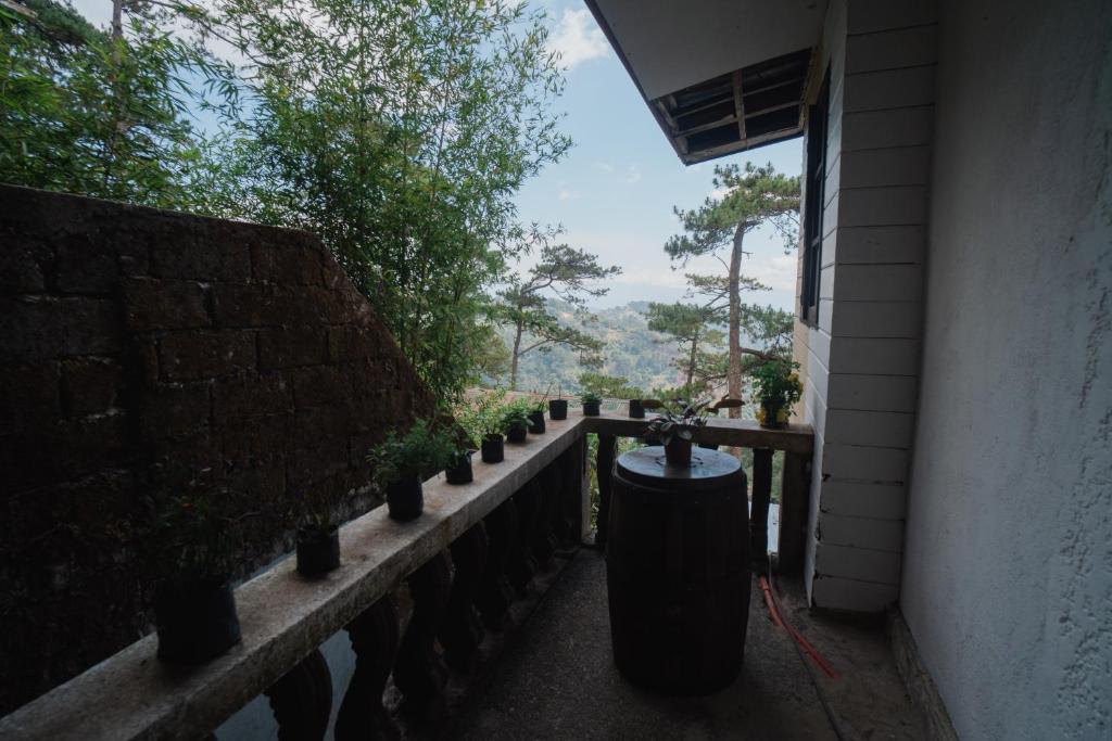 a row of potted plants sitting on a fence at Bree's Mountainview Main house in Baguio