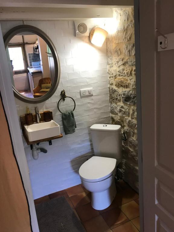 a bathroom with a toilet and a sink and a mirror at Le pigeonnier du beffroi in Bruniquel