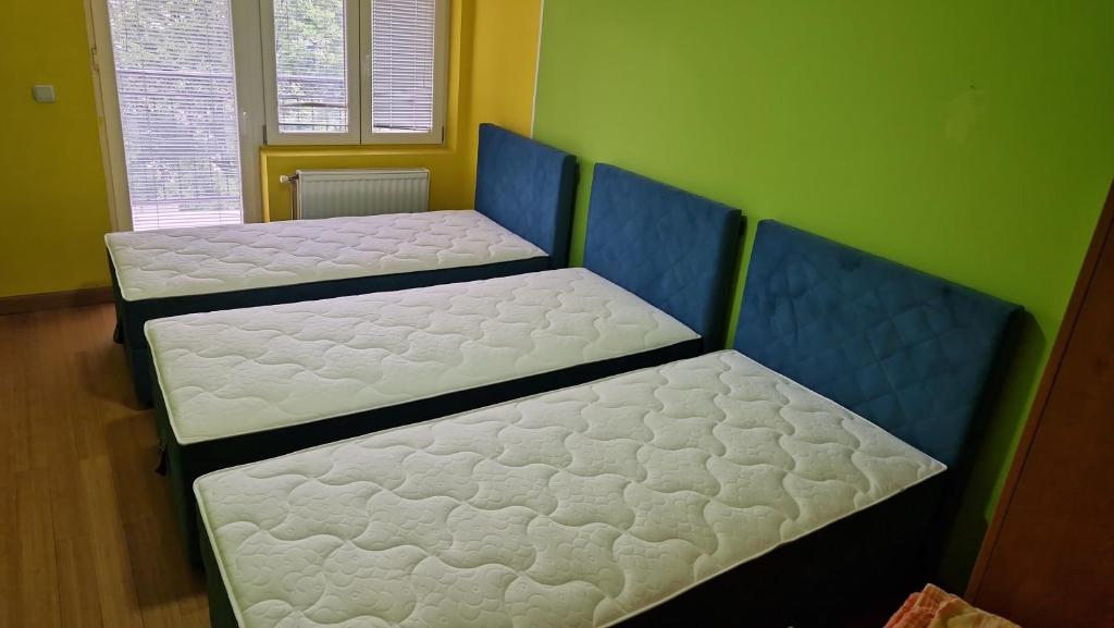 two beds are in a room with a green wall at Greenspace in Niš