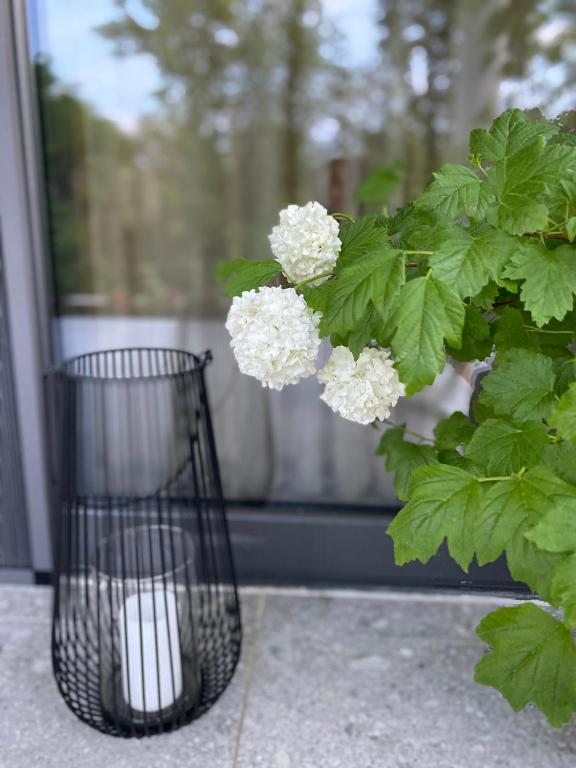 Zahrada ubytování B&B Plitvice Area Natura1
