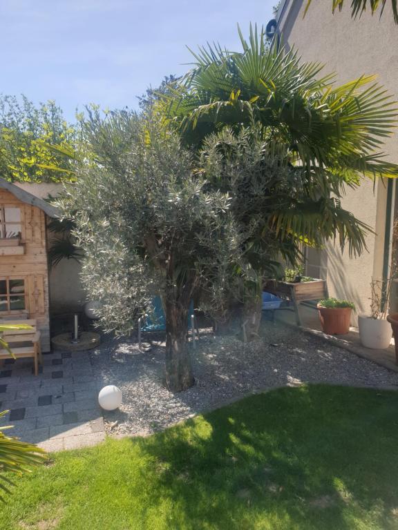 Zahrada ubytování Ferienhaus Apetlon