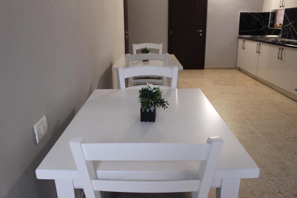 Kuchyň nebo kuchyňský kout v ubytování Hotel Vila Maledhi
