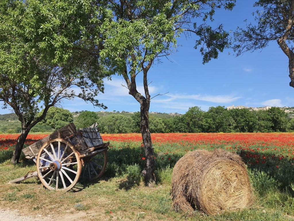 a cart and a haystack in front of a field of flowers at La petite Galéjade in Gordes