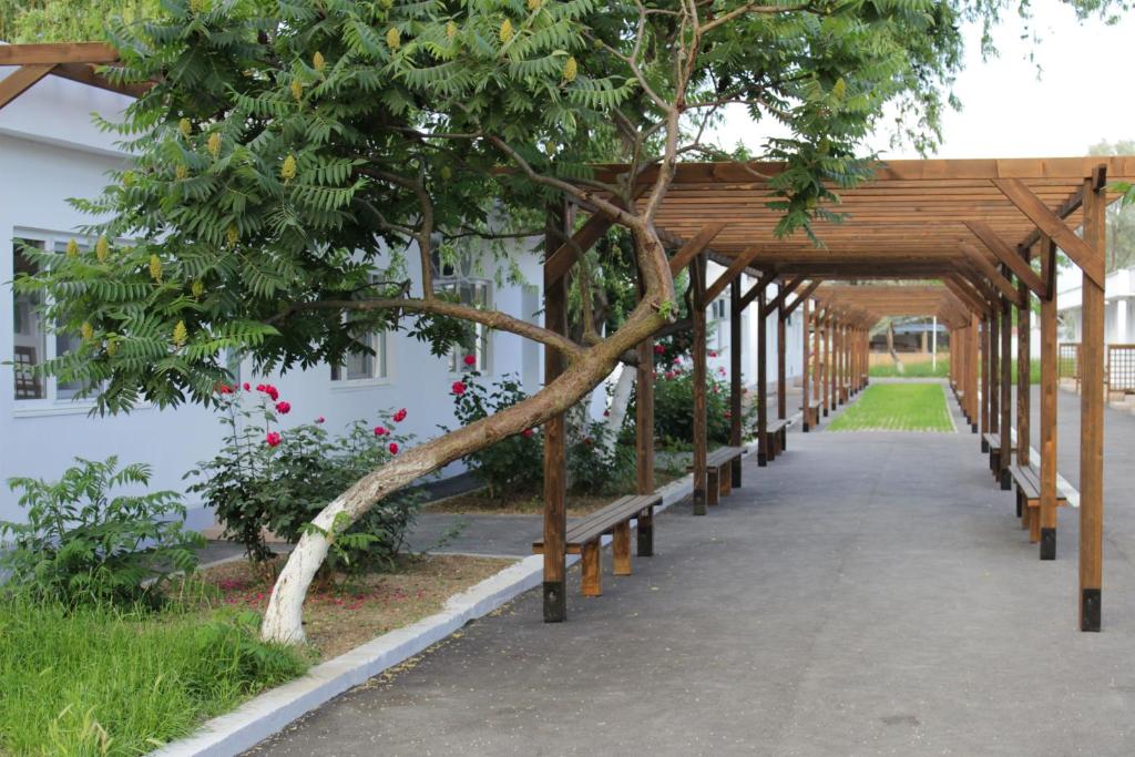 a wooden pergola with benches next to a building at Hanul Piratilor Camping Village in Mamaia Nord