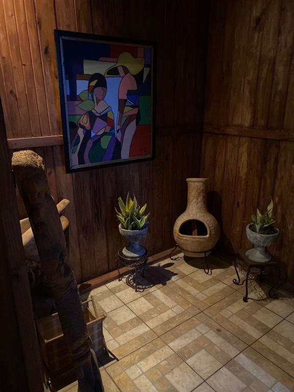 Televiisor ja/või meelelahutuskeskus majutusasutuses Hostal Dilu Boquete