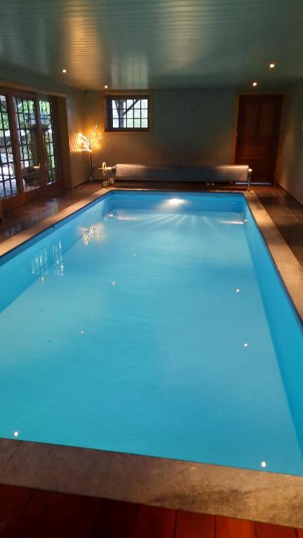 a large blue swimming pool in a house at Le Têli du loup in Stavelot