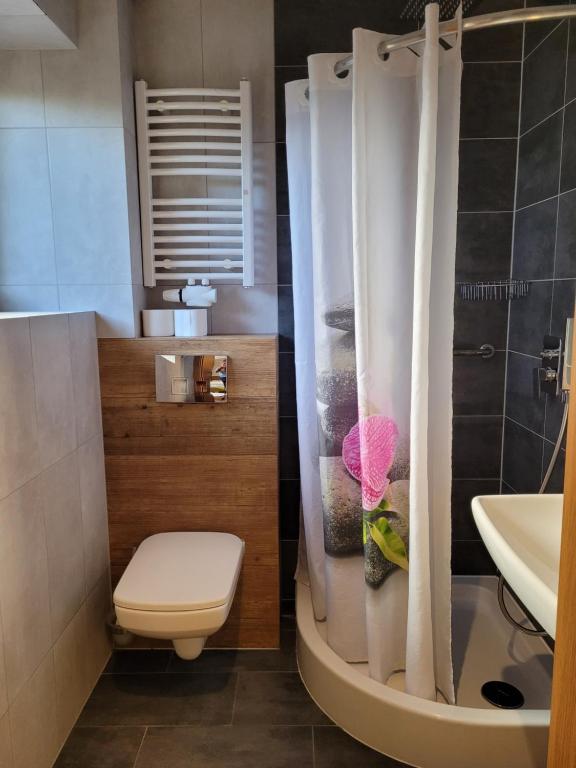 Pokoje & Apartamenty Asenata Ustroń Centrum - 14