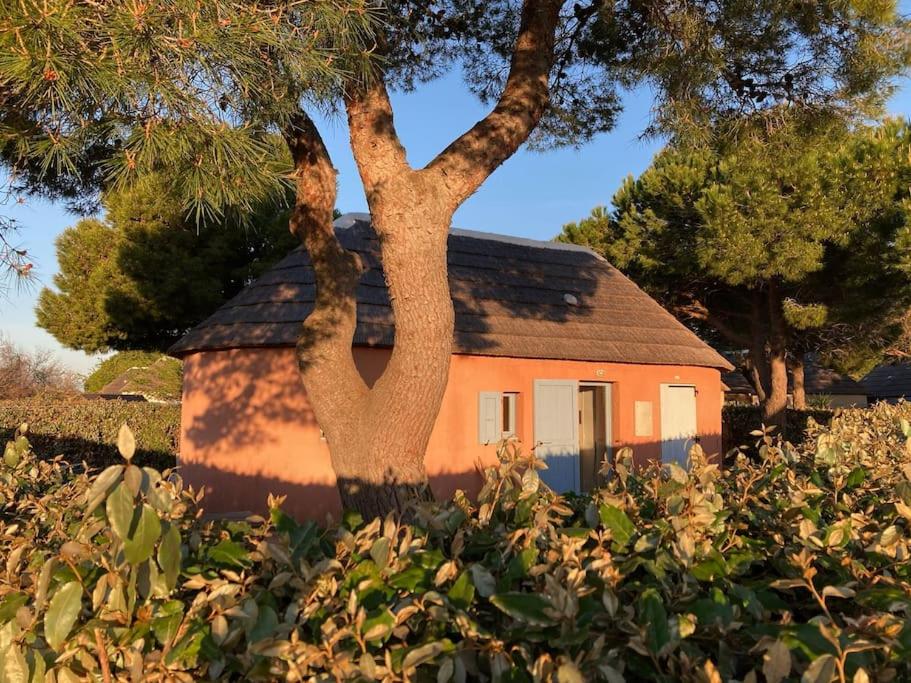 uma pequena casa com uma árvore em frente em La Geck'home em Le Barcarès
