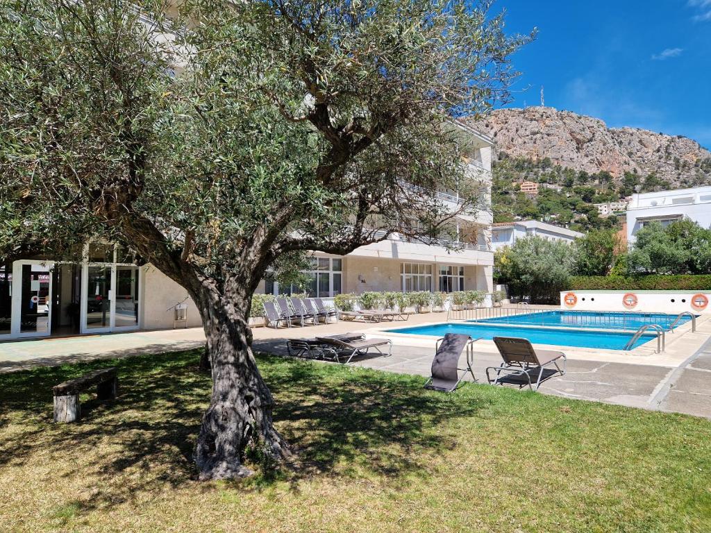 a tree in a yard next to a swimming pool at Acogedor apartamento en l'Estartit con piscina y Parking in L'Estartit