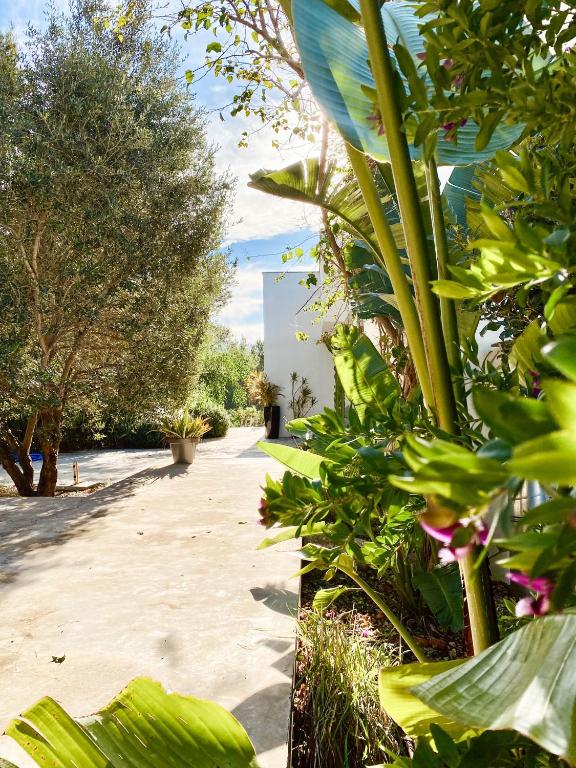 Villa, Santa Eularia des Riu – Updated 2023 Prices