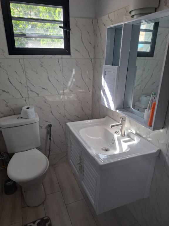 a bathroom with a sink and a toilet and a mirror at le tamarin in Toliara