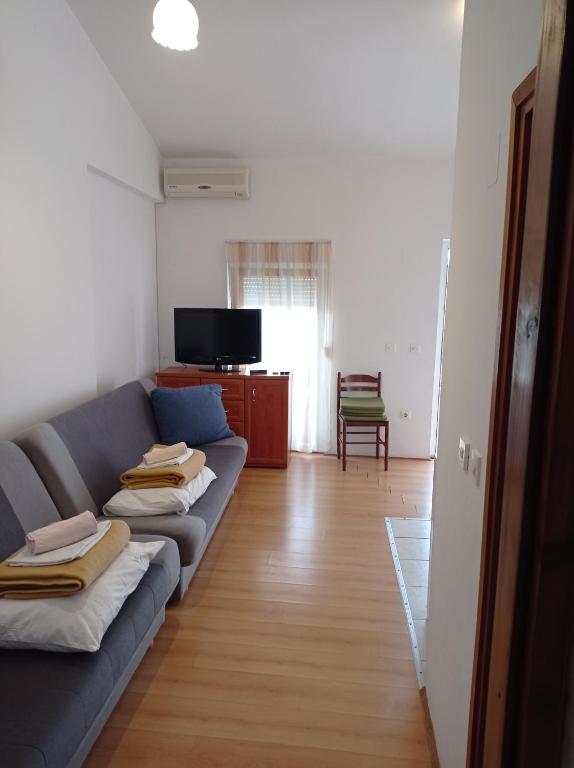 TV a/nebo společenská místnost v ubytování Apartments Milinkovic