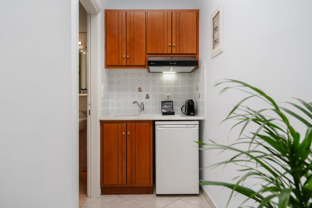Kuchyňa alebo kuchynka v ubytovaní Erato Inn Naxos