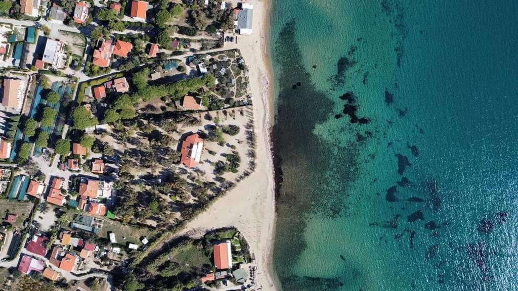 Mare Fuori Lacona في كابوليفيري: إطلالة علوية على شاطئ به بيوت ومحيط