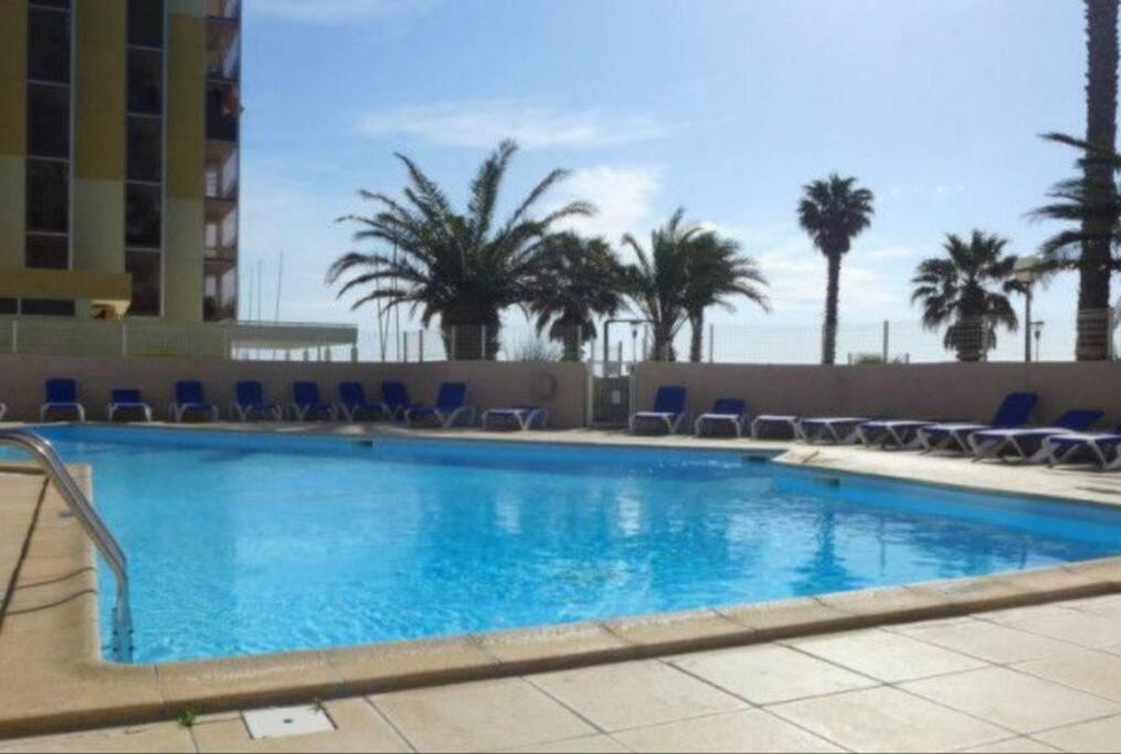 einen großen Pool mit blauen Stühlen und Palmen in der Unterkunft Canet plage T2 + cabine clim et piscine in Canet-en-Roussillon