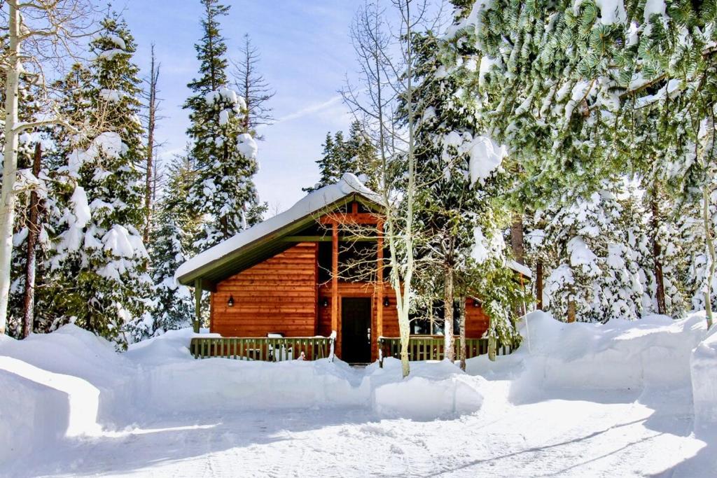 une cabane en rondins dans les bois recouverts de neige dans l'établissement Lovely Log Cabin With Fire Pit!, à Duck Creek Village