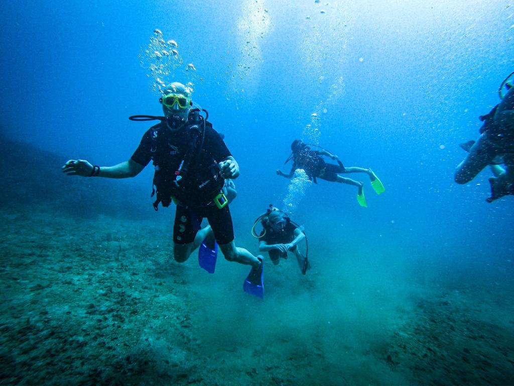 a group of people scuba diving in the ocean at ScubaPortobelo in Portobelo