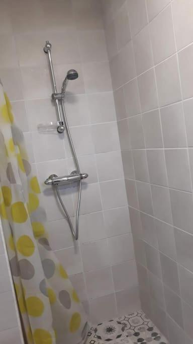 Kúpeľňa v ubytovaní Appartement cosy au calme La Salamandre