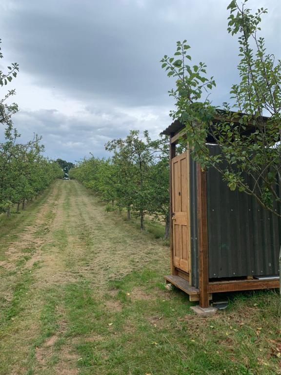 Fotografie z fotogalerie ubytování Bowhayes Farm - Camping & Glamping - Bell Tents - Cider Orchard v destinaci Venn Ottery