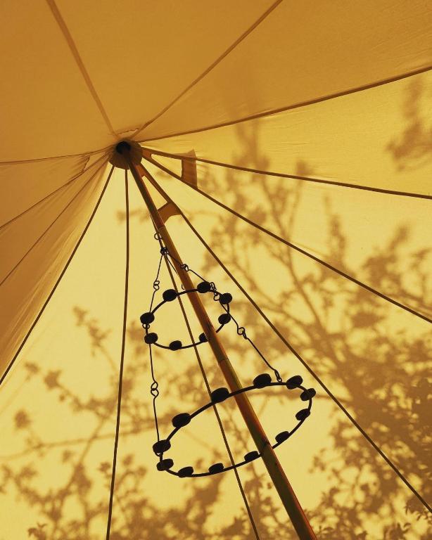 Fotografie z fotogalerie ubytování Bowhayes Farm - Camping & Glamping - Bell Tents - Cider Orchard v destinaci Venn Ottery