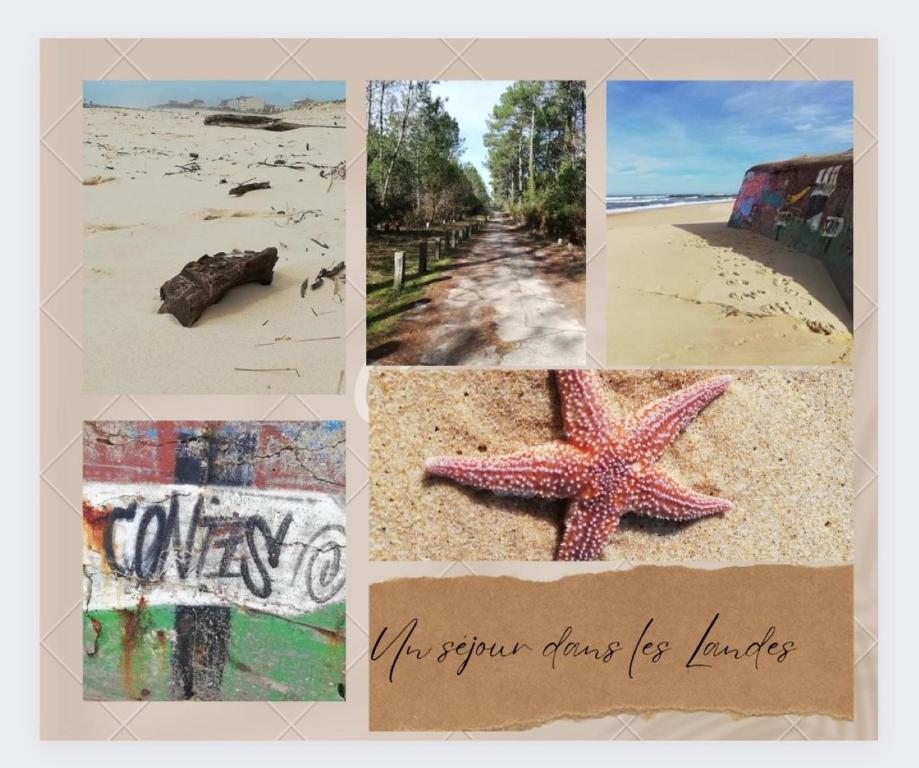 Fotografie z fotogalerie ubytování Sbvacances TOUT CONFORT 2ch et 1sdb, environnement CALME et VERDOYANT dans camping 4 étoiles v destinaci Saint-Julien-en-Born