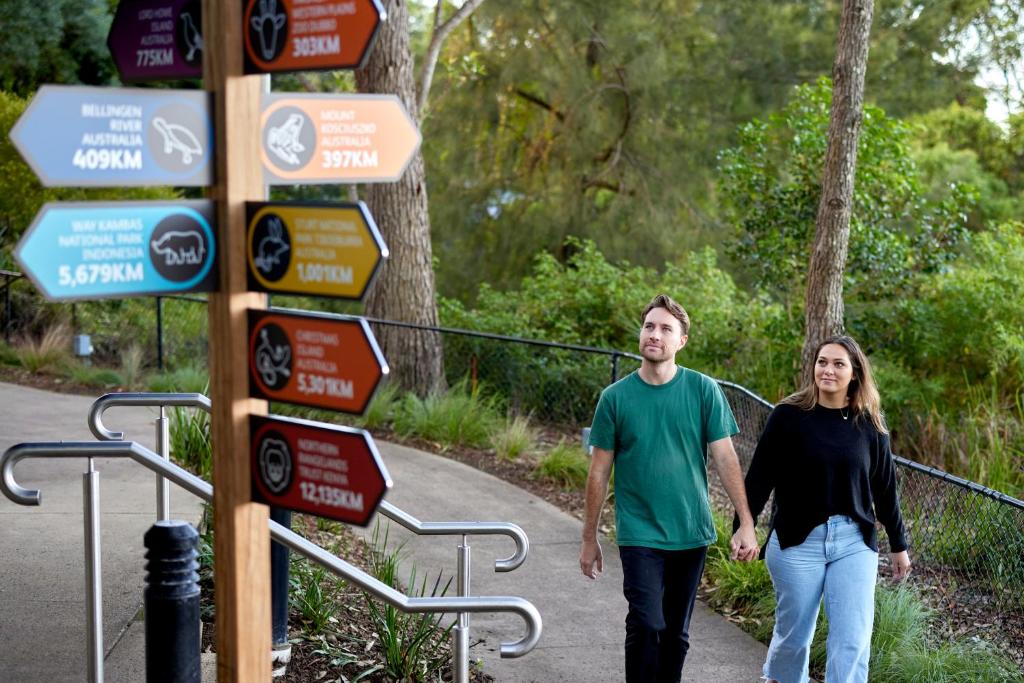 Roar And Snore - Resim 8