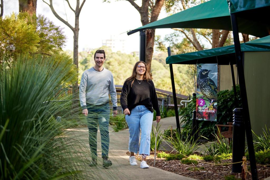 Roar And Snore - Resim 18