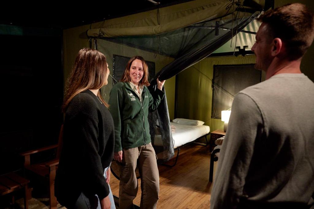 Roar And Snore - Resim 16