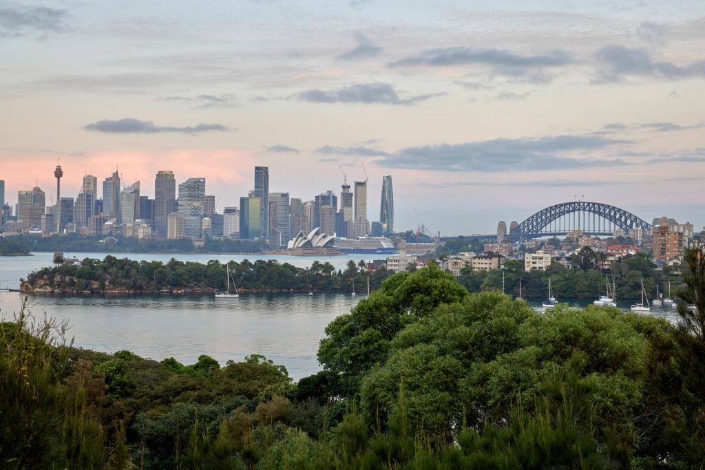 Roar And Snore - Resim 17