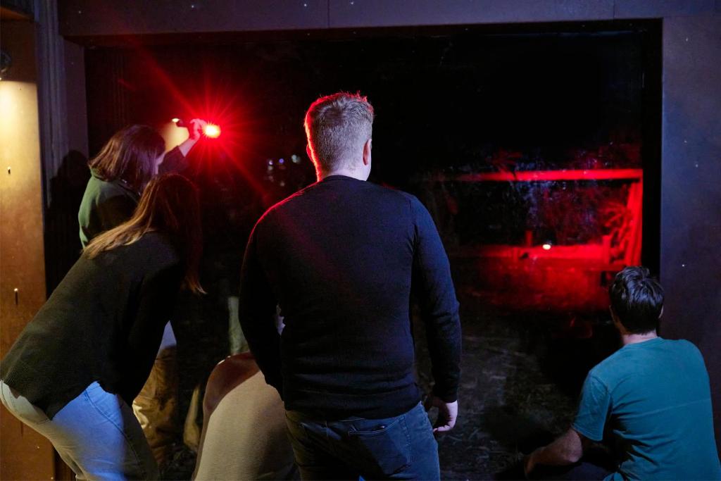 Roar And Snore - Resim 15