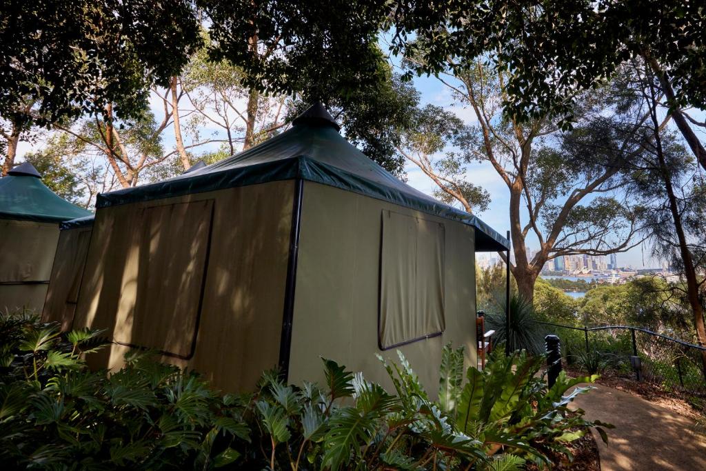 Roar And Snore - Resim 21