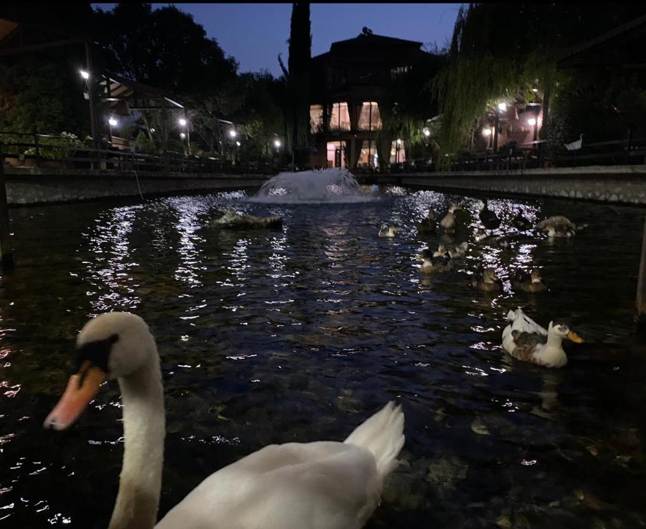 Zajímavé místo poblíž hotelu
