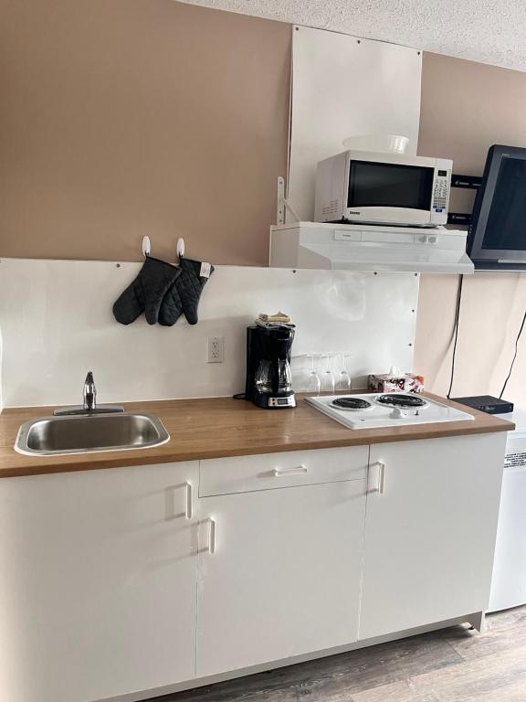 Kuchyň nebo kuchyňský kout v ubytování Skimmerhorn Inn